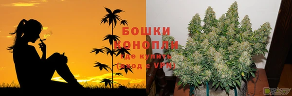 гашик Вязники