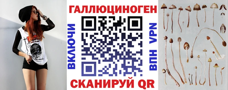 Купить где  Сим  Галлюциногенные грибы Cubensis 